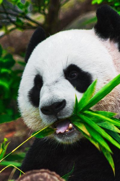 老街腾龙娱乐中心风景摄影